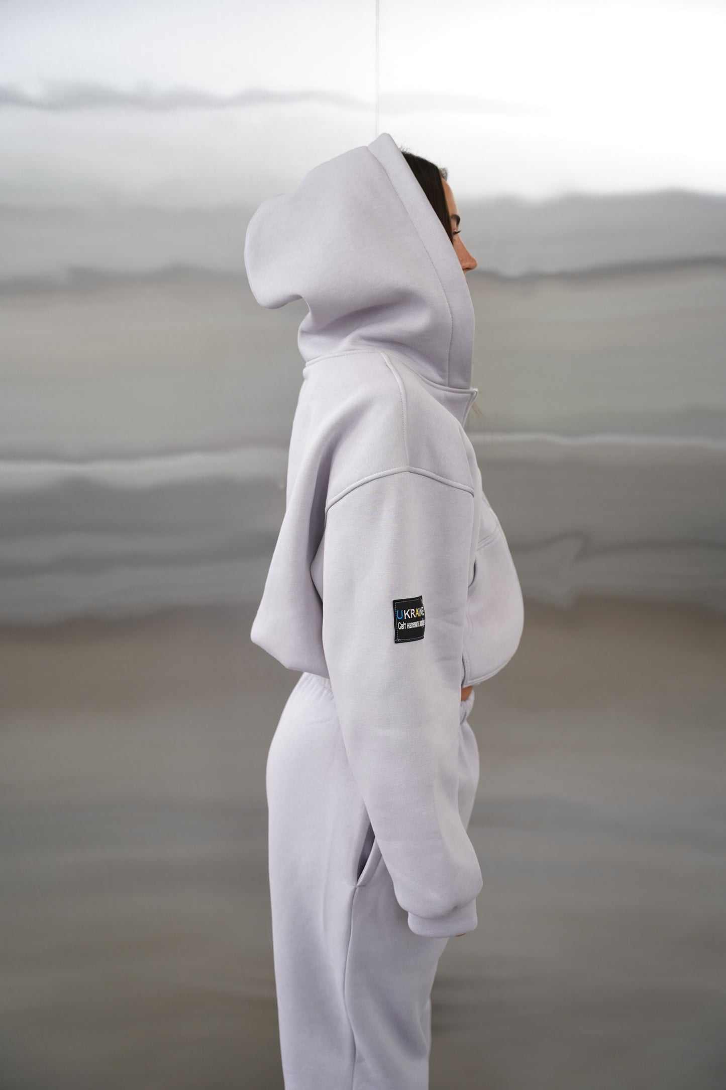 Спортивний костюм сірий UA